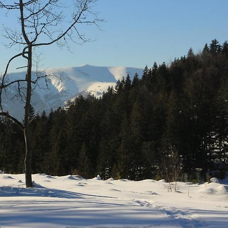 Chata Donovaly Buly 242/C Екстериор снимка